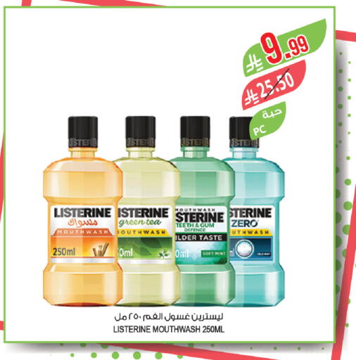 Mint available at المزرعة in مملكة العربية السعودية, السعودية, سعودية - الباحة