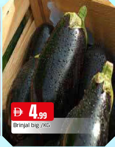 available at المدينة in الإمارات العربية المتحدة , الامارات - الشارقة / عجمان