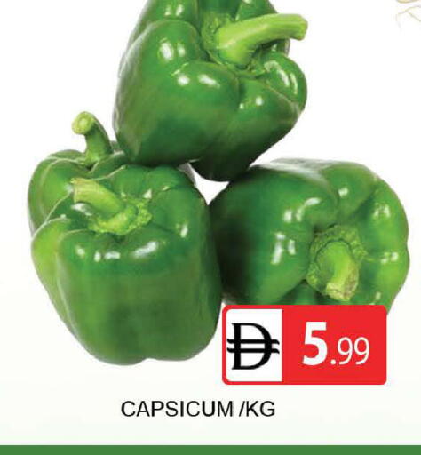 Capsicum available at المدينة in الإمارات العربية المتحدة , الامارات - دبي