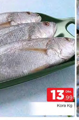 available at المدينة in الإمارات العربية المتحدة , الامارات - دبي