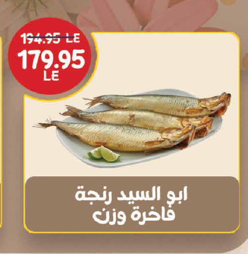 available at Exception Market in Egypt - Cairo