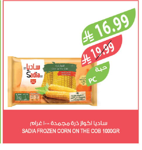 available at Farm  in KSA, Saudi Arabia, Saudi - Tabuk