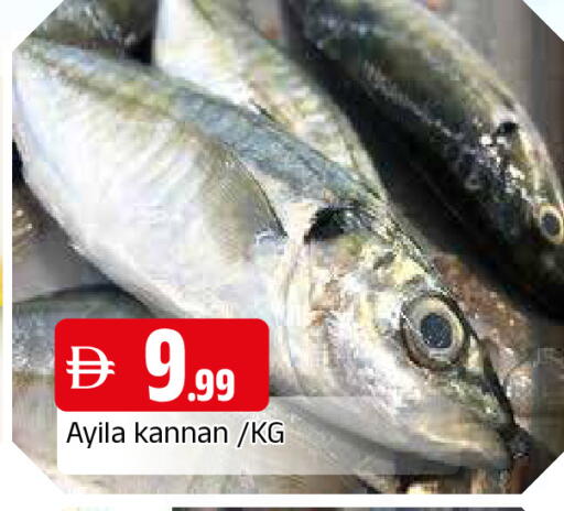 available at المدينة in الإمارات العربية المتحدة , الامارات - الشارقة / عجمان