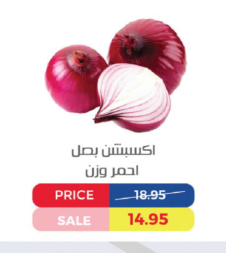 available at اكسبشن ماركت in Egypt - القاهرة