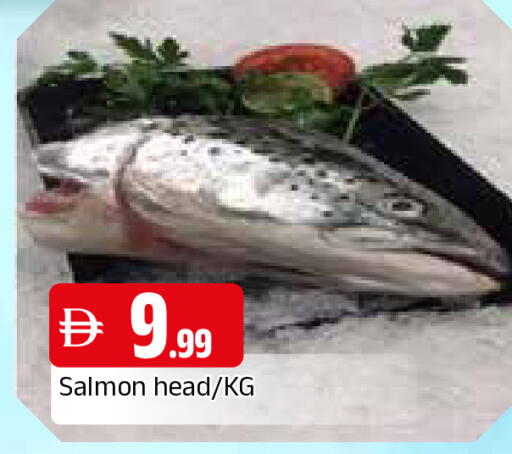 available at المدينة in الإمارات العربية المتحدة , الامارات - الشارقة / عجمان