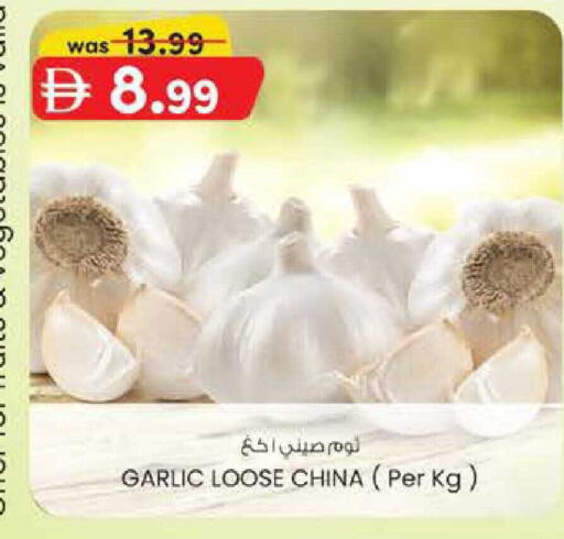 Garlic from China available at Al Safa in UAE - Abu Dhabi