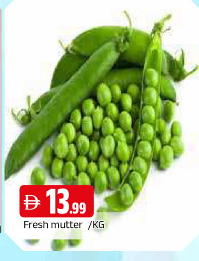 available at المدينة in الإمارات العربية المتحدة , الامارات - الشارقة / عجمان