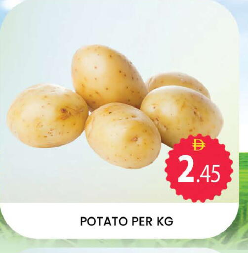 Potato available at المدينة in الإمارات العربية المتحدة , الامارات - دبي