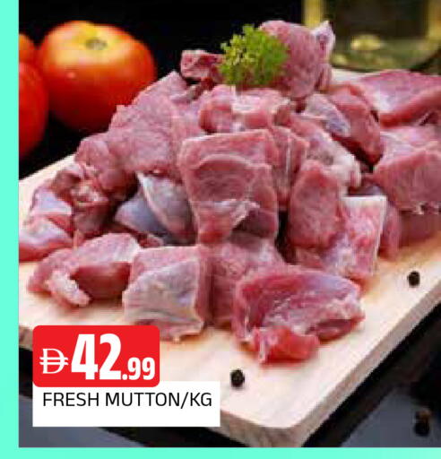 available at AL MADINA in UAE - Sharjah / Ajman