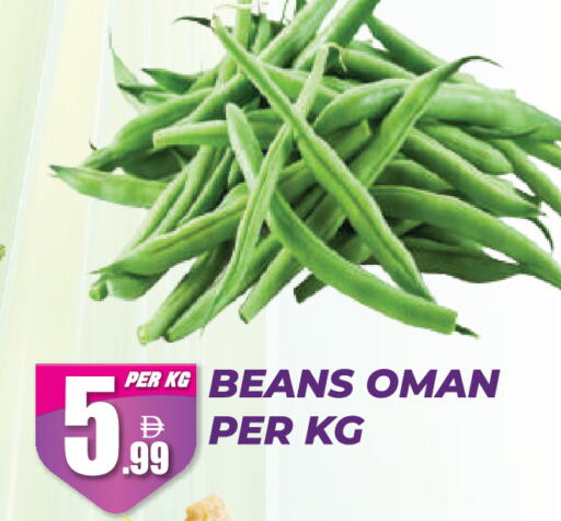 from Oman available at دريم لاند in الإمارات العربية المتحدة , الامارات - دبي