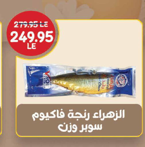available at اكسبشن ماركت in Egypt - القاهرة