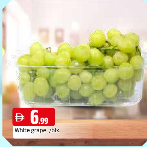 available at المدينة in الإمارات العربية المتحدة , الامارات - الشارقة / عجمان