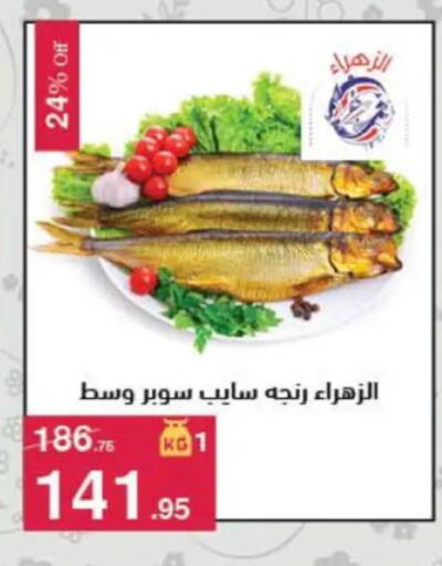 available at محمود الفار in Egypt - القاهرة