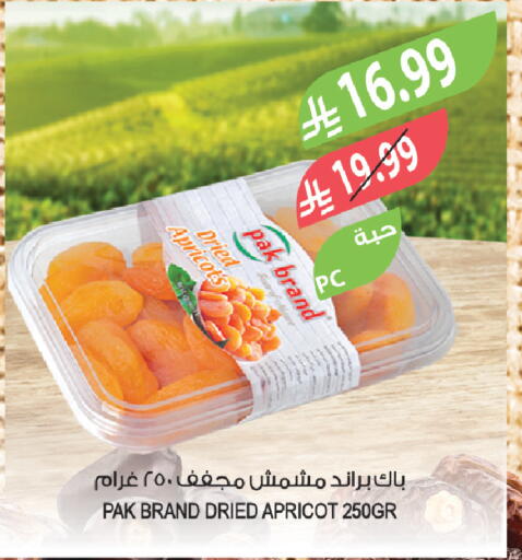 Apricot available at Farm  in KSA, Saudi Arabia, Saudi - Saihat