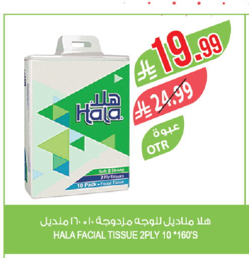 available at المزرعة in مملكة العربية السعودية, السعودية, سعودية - ينبع