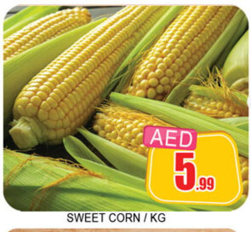 available at Lucky Center in UAE - Sharjah / Ajman