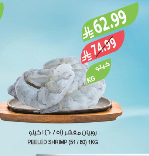 available at المزرعة in مملكة العربية السعودية, السعودية, سعودية - أبها