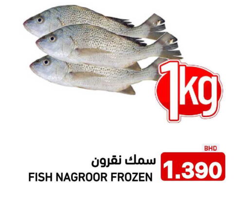 available at رامــز in البحرين