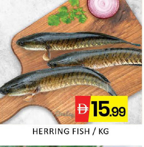 Mango available at مانجو هايبرماركت in الإمارات العربية المتحدة , الامارات - دبي