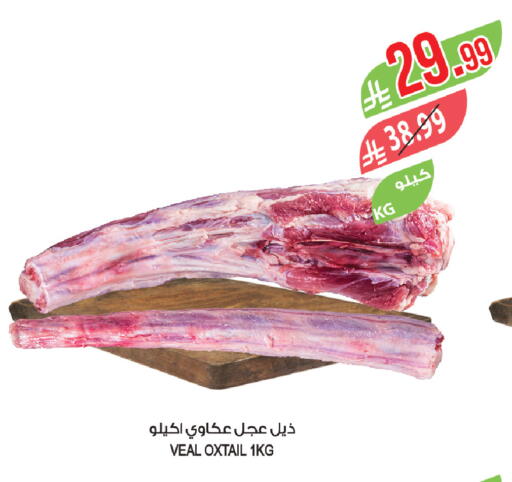 available at المزرعة in مملكة العربية السعودية, السعودية, سعودية - الخبر‎