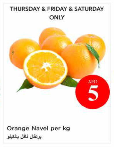 Orange available at لاست تشانس in الإمارات العربية المتحدة , الامارات - ٱلْفُجَيْرَة‎