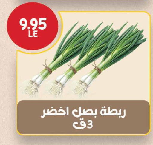 available at اكسبشن ماركت in Egypt - القاهرة