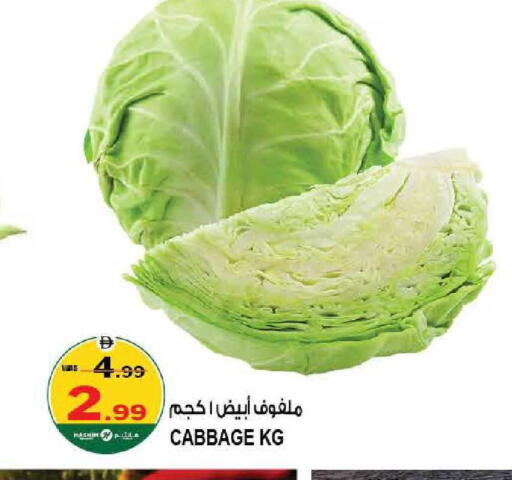 Cabbage available at هاشم هايبرماركت in الإمارات العربية المتحدة , الامارات - الشارقة / عجمان