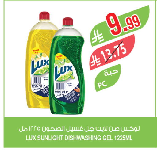 Lemon available at Farm  in KSA, Saudi Arabia, Saudi - Jazan