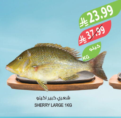 available at المزرعة in مملكة العربية السعودية, السعودية, سعودية - أبها