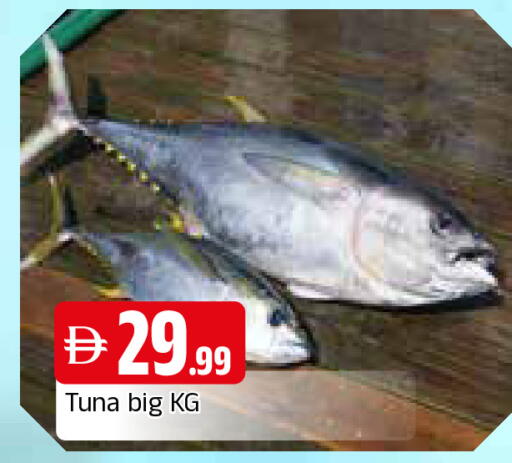 available at المدينة in الإمارات العربية المتحدة , الامارات - الشارقة / عجمان