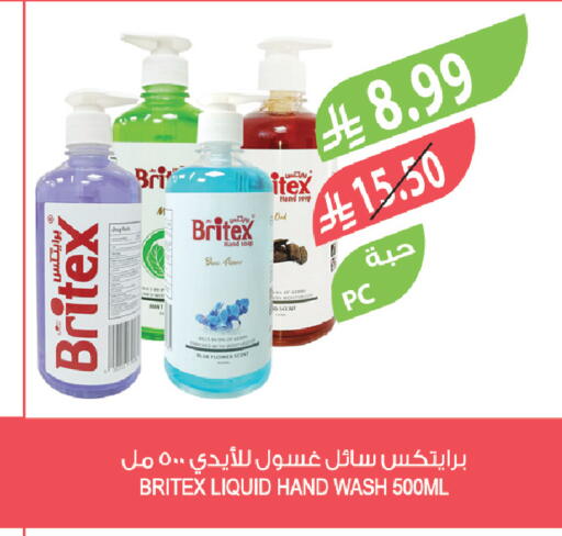 Mint available at Farm  in KSA, Saudi Arabia, Saudi - Al Bahah