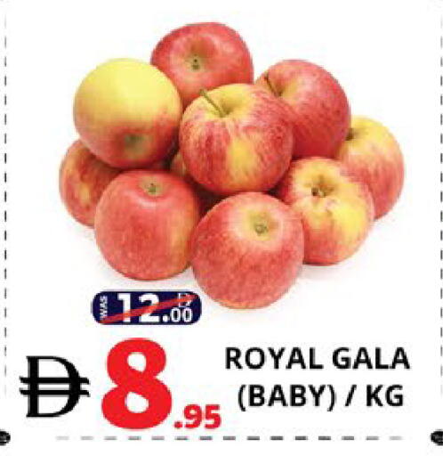 available at اكسبرس المدينة هايبرماركت in الإمارات العربية المتحدة , الامارات - أبو ظبي