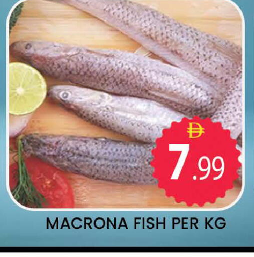 available at المدينة in الإمارات العربية المتحدة , الامارات - دبي