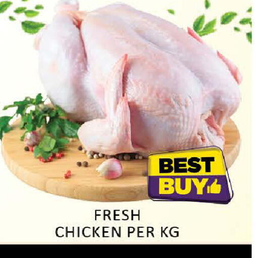 Mango available at مانجو هايبرماركت in الإمارات العربية المتحدة , الامارات - دبي