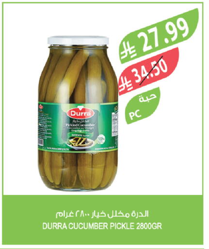 Cucumber available at Farm  in KSA, Saudi Arabia, Saudi - Jeddah