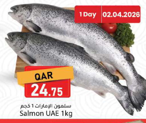 available at دانا ماركت in قطر - الضعاين