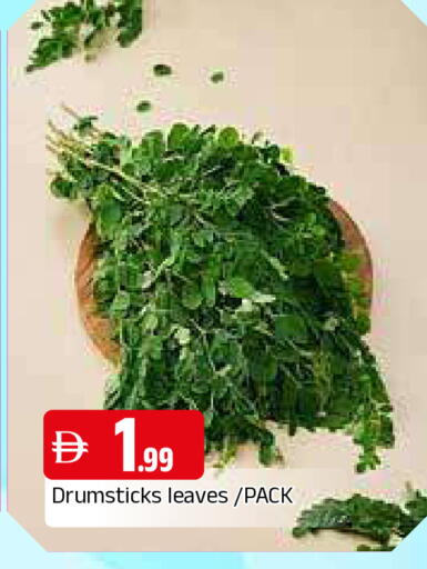 available at المدينة in الإمارات العربية المتحدة , الامارات - الشارقة / عجمان