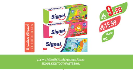 Strawberry Mint available at المزرعة in مملكة العربية السعودية, السعودية, سعودية - عرعر