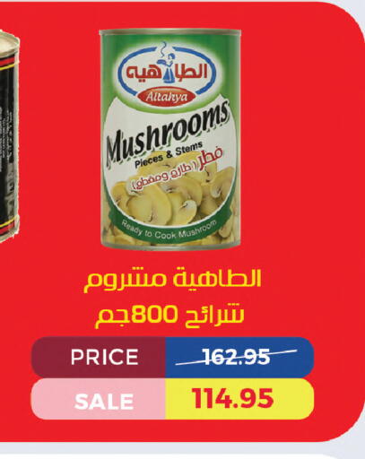 Mushroom available at Exception Market in Egypt - Cairo