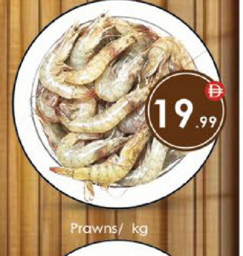 available at ايكو مول & ايكو هايبرماركت in الإمارات العربية المتحدة , الامارات - ٱلْعَيْن‎