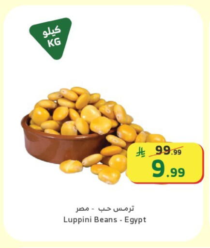 available at الراية in مملكة العربية السعودية, السعودية, سعودية - القنفذة