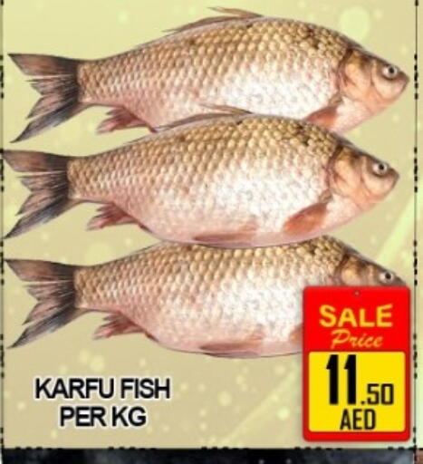 available at جرين جيفت متجر أقسام in الإمارات العربية المتحدة , الامارات - دبي