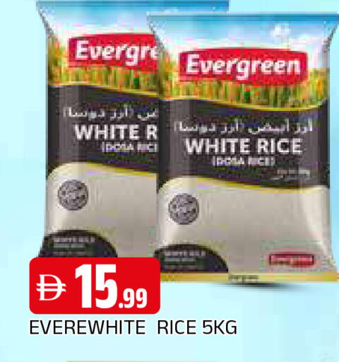 available at المدينة in الإمارات العربية المتحدة , الامارات - الشارقة / عجمان