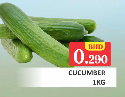 Cucumber available at Talal Markets in Bahrain