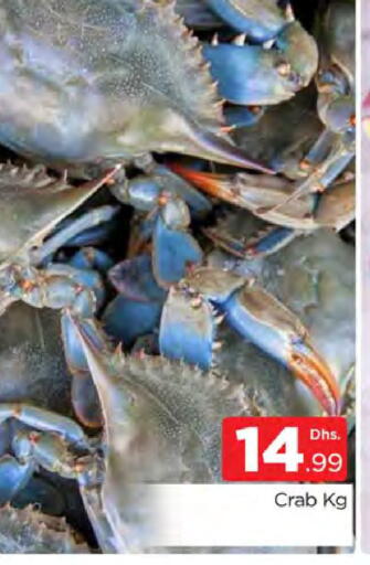 available at المدينة in الإمارات العربية المتحدة , الامارات - دبي