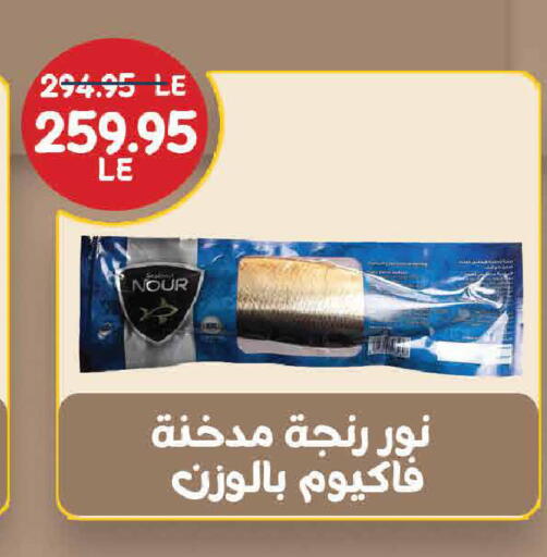 available at Exception Market in Egypt - Cairo