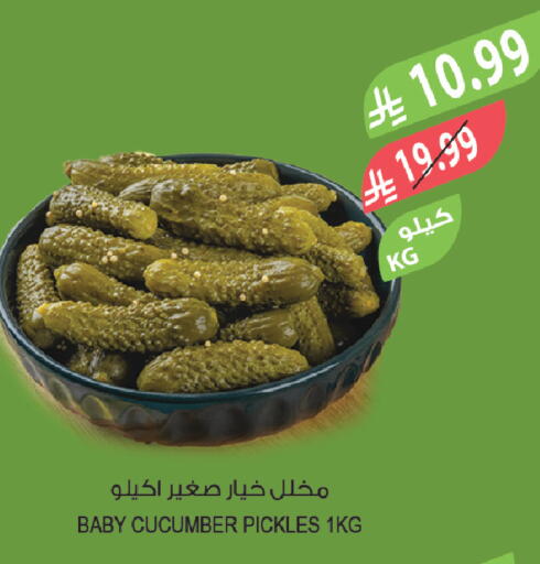 Cucumber available at المزرعة in مملكة العربية السعودية, السعودية, سعودية - الباحة