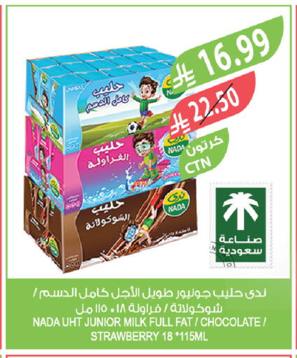 Strawberry available at Farm  in KSA, Saudi Arabia, Saudi - Sakaka