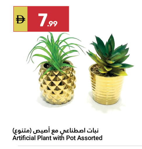available at Grand Emirates Market in UAE - Abu Dhabi