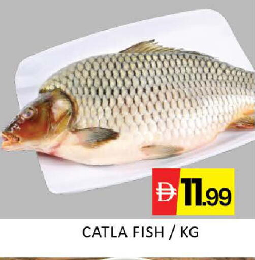 Mango available at مانجو هايبرماركت in الإمارات العربية المتحدة , الامارات - دبي